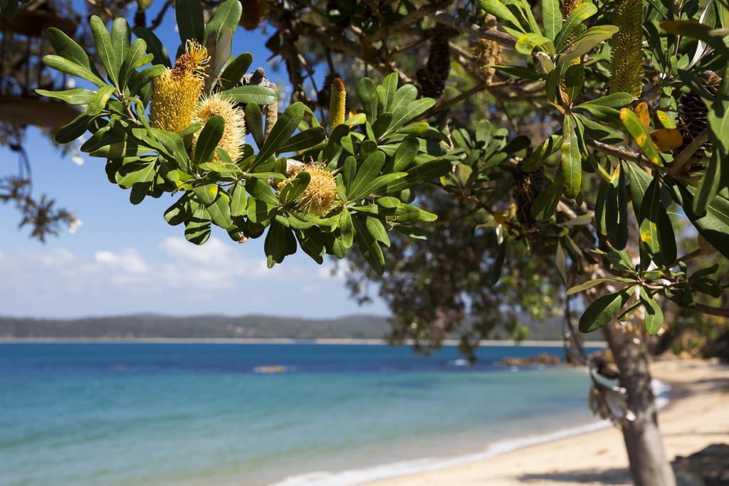 Ingenia Holidays Eden Beachfront Экстерьер фото